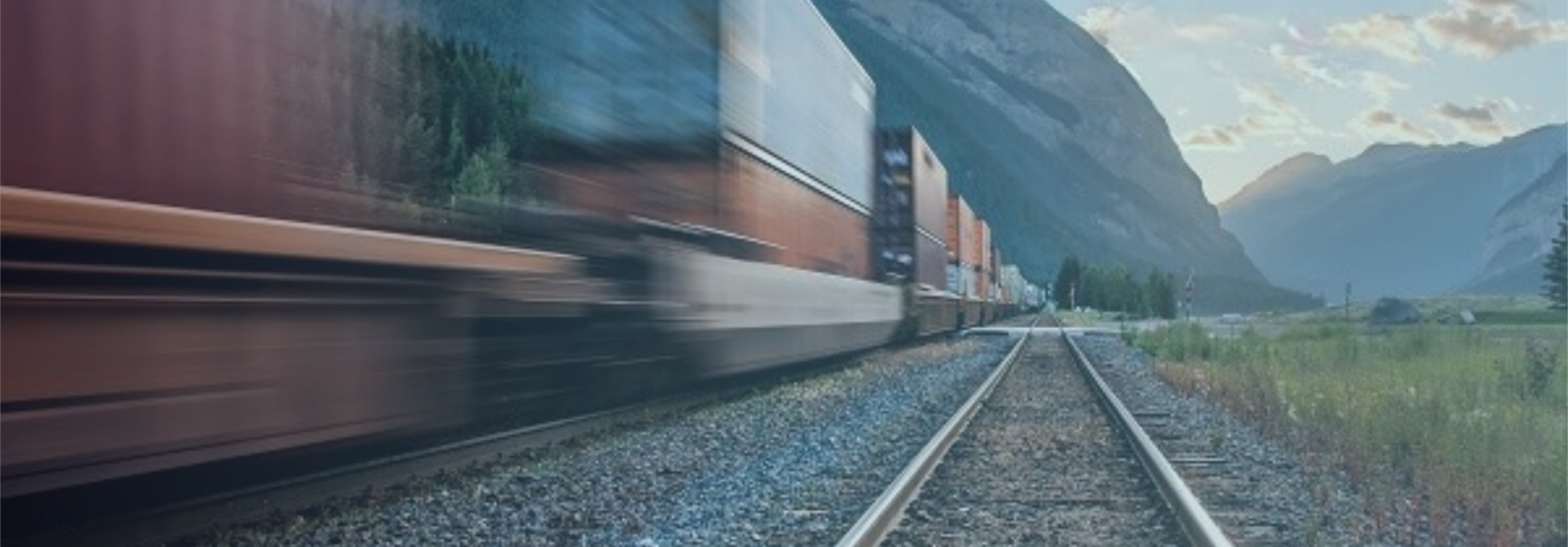 Bruce Harbridge Named Lead of TransmetriQ Managed Services